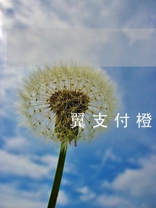 翼支付橙分期的逾期费可以追回吗 翼支付橙分期的逾期费可以追回吗