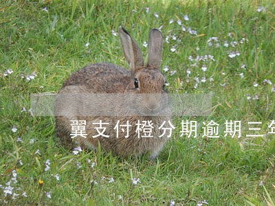 翼支付橙分期逾期三年怎么办 翼支付橙分期逾期三年怎么办