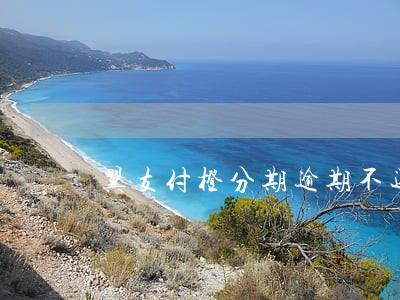 翼支付橙分期逾期不还的影响 翼支付橙分期逾期不还的影响