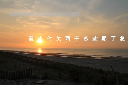 翼支付欠两千多逾期了怎么办 翼支付欠两千多逾期了怎么办