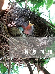 翼支付理财到期逾期消息 翼支付理财到期逾期消息