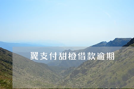 翼支付甜橙借款逾期 翼支付甜橙借款逾期