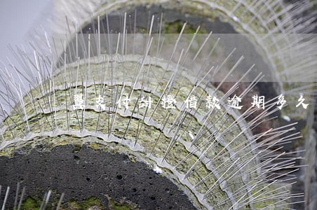 翼支付甜橙借款逾期多久打通讯录