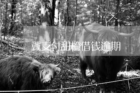 翼支付甜橙借钱逾期