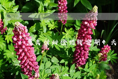 翼支付甜橙借钱逾期4天 翼支付甜橙借钱逾期4天