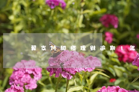 翼支付甜橙理财逾期1年 翼支付甜橙理财逾期1年