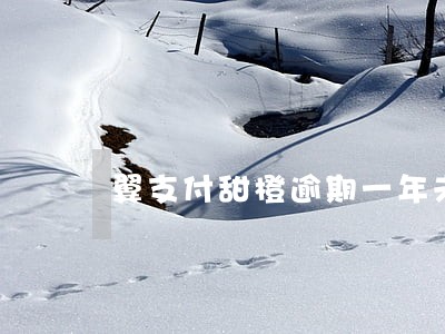 翼支付甜橙逾期一年未还款 翼支付甜橙逾期一年未还款