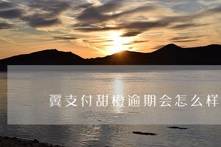 翼支付甜橙逾期会怎么样 翼支付甜橙逾期会怎么样