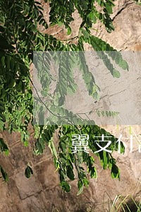 翼支付甜橙逾期爆通讯录吗 翼支付甜橙逾期爆通讯录吗