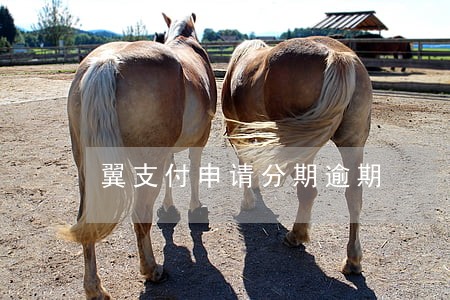 翼支付申请分期逾期 翼支付申请分期逾期
