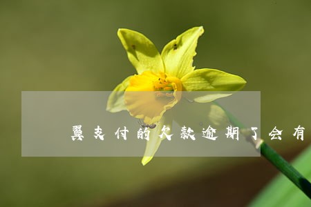 翼支付的欠款逾期了会有什么后果 翼支付的欠款逾期了会有什么后果
