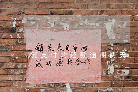 翼支付的还款逾期两天