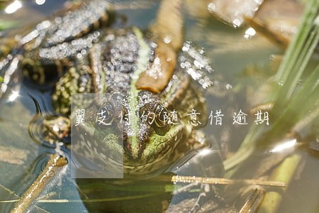翼支付的随意借逾期 翼支付的随意借逾期