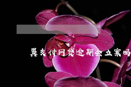 翼支付网贷逾期会立案吗 翼支付网贷逾期会立案吗