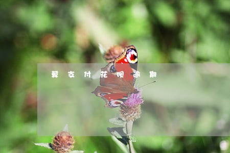 翼支付花呗逾期 翼支付花呗逾期