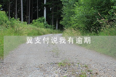翼支付说我有逾期 翼支付说我有逾期