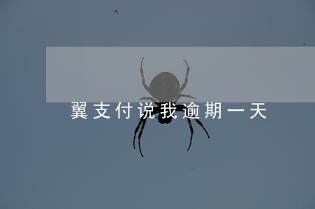 翼支付说我逾期一天