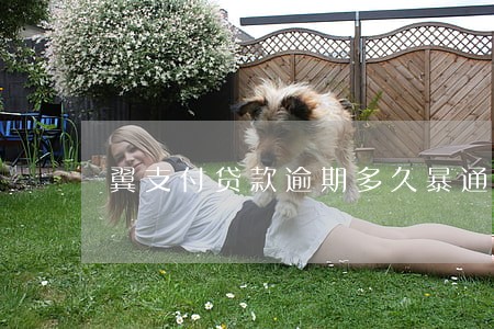 翼支付贷款逾期多久暴通讯录