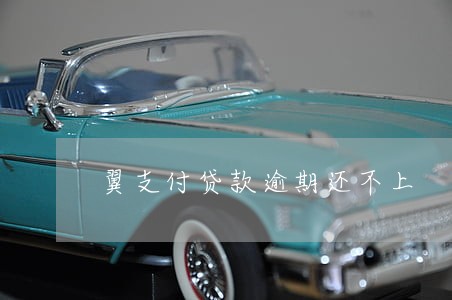 翼支付贷款逾期还不上 翼支付贷款逾期还不上