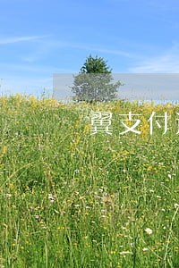 翼支付还款逾期几天有关系吗 翼支付还款逾期几天有关系吗