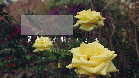 翼支付逾期112天