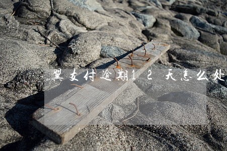 翼支付逾期12天怎么处理 翼支付逾期12天怎么处理