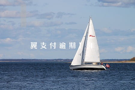 翼支付逾期1年 翼支付逾期1年