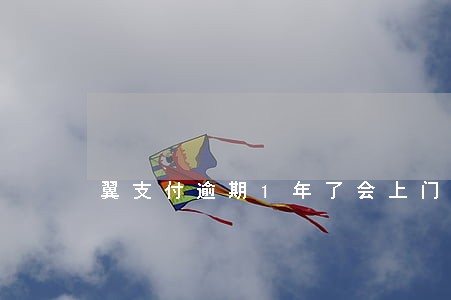 翼支付逾期1年了会上门吗 翼支付逾期1年了会上门吗