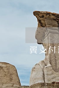 翼支付逾期2个月4000了 翼支付逾期2个月4000了