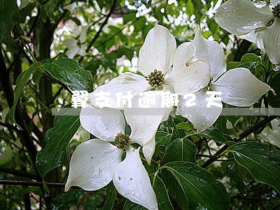 翼支付逾期2天 翼支付逾期2天