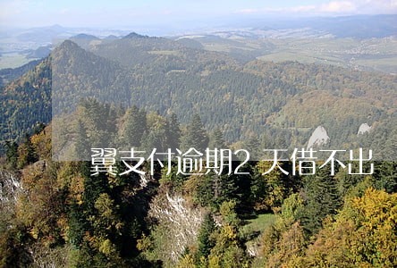 翼支付逾期2天借不出