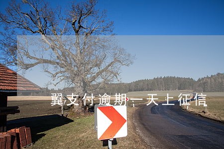 翼支付逾期一天上征信 翼支付逾期一天上征信