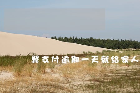 翼支付逾期一天就给家人打电话 翼支付逾期一天就给家人打电话