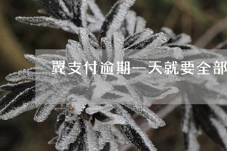 翼支付逾期一天就要全部还清 翼支付逾期一天就要全部还清