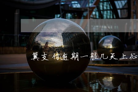 翼支付逾期一般几天上征信 翼支付逾期一般几天上征信
