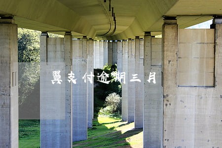 翼支付逾期三月 翼支付逾期三月