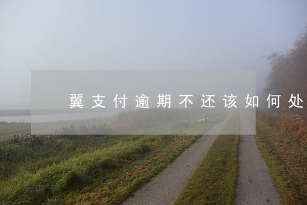 翼支付逾期不还该如何处理 翼支付逾期不还该如何处理
