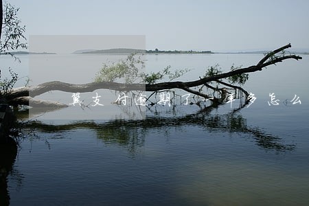 翼支付逾期了一年多怎么还 翼支付逾期了一年多怎么还