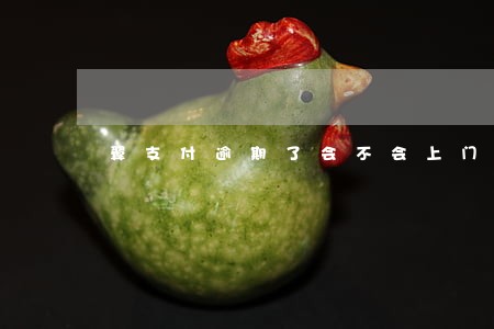 翼支付逾期了会不会上门 翼支付逾期了会不会上门