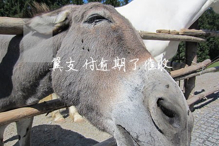 翼支付逾期了催收 翼支付逾期了催收