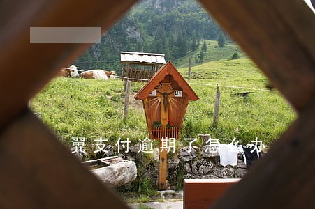翼支付逾期了怎么办 翼支付逾期了怎么办