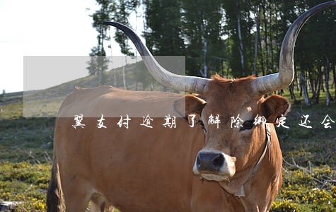 翼支付逾期了解除绑定还会扣钱吗 翼支付逾期了解除绑定还会扣钱吗