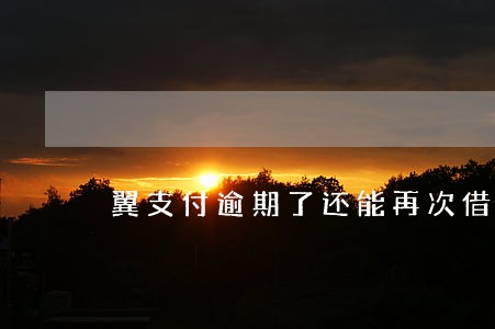 翼支付逾期了还能再次借吗 翼支付逾期了还能再次借吗
