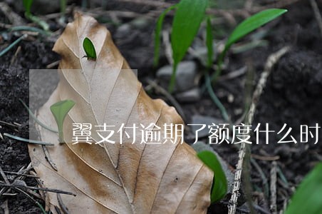 翼支付逾期了额度什么时候恢复 翼支付逾期了额度什么时候恢复