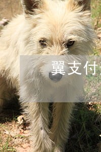 翼支付逾期五天 翼支付逾期五天