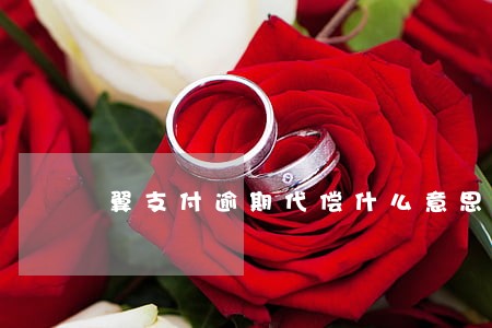 翼支付逾期代偿什么意思 翼支付逾期代偿什么意思
