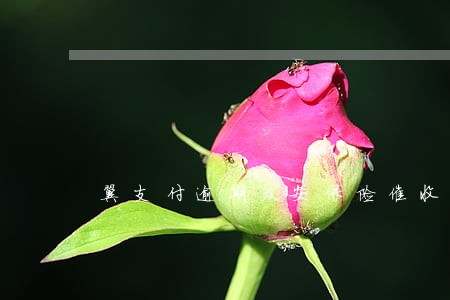 翼支付逾期众安保险催收 翼支付逾期众安保险催收