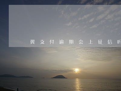 翼支付逾期会上征信吗 翼支付逾期会上征信吗
