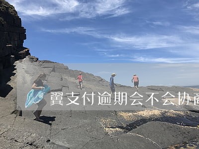 翼支付逾期会不会协商 翼支付逾期会不会协商