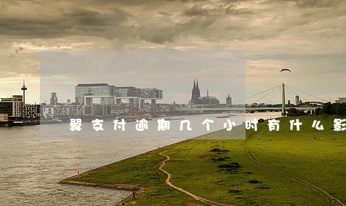 翼支付逾期几个小时有什么影响吗 翼支付逾期几个小时有什么影响吗